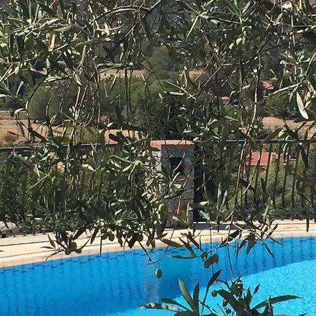 Tas Evi * Kayaköy